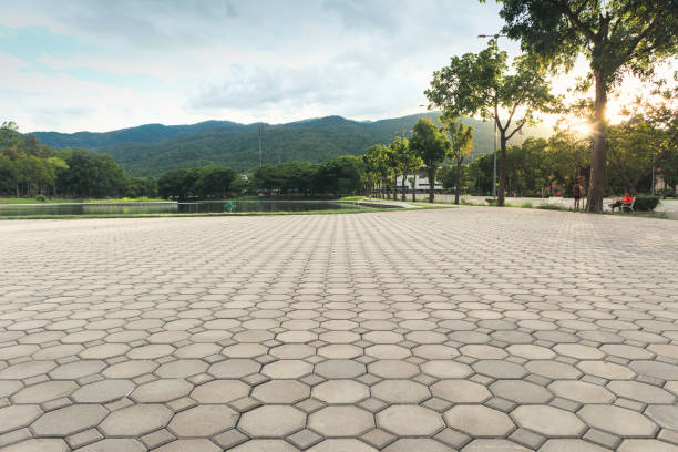 Best Decorative Driveway Pavers  in Proctor, MN