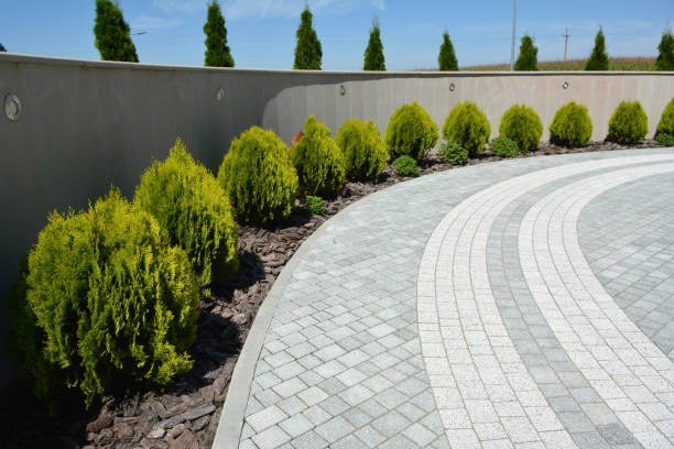 Best Cobblestone Driveway Pavers  in Proctor, MN